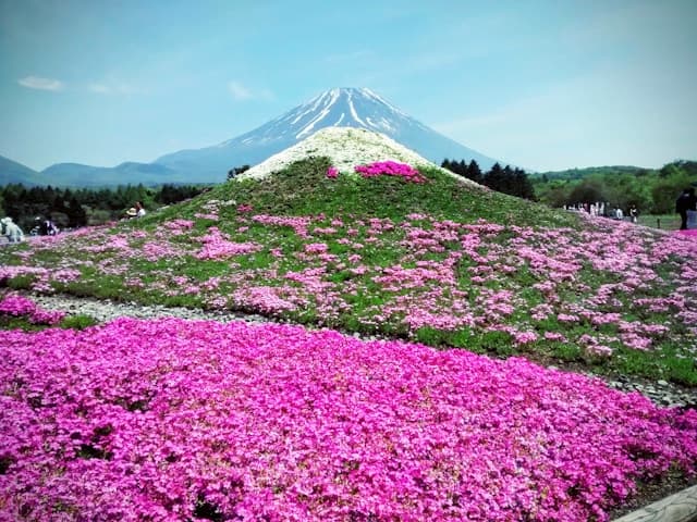 Chureito Pagoda Day Tour