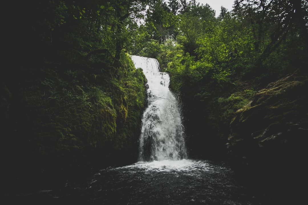 Narada Falls in Mount Rainier National Park