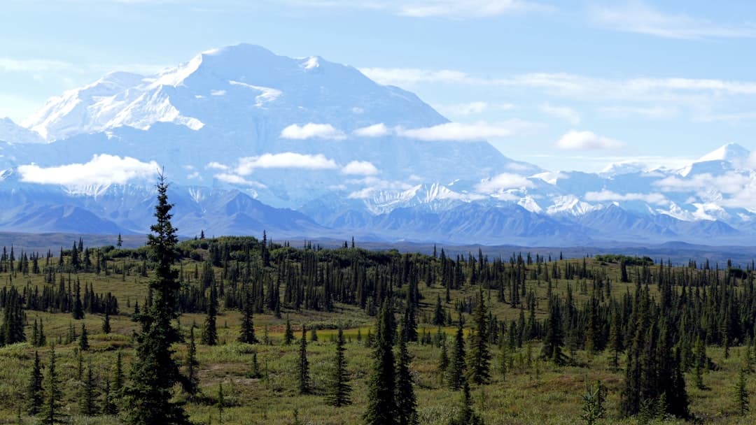 Denali seen across Wonder Lake