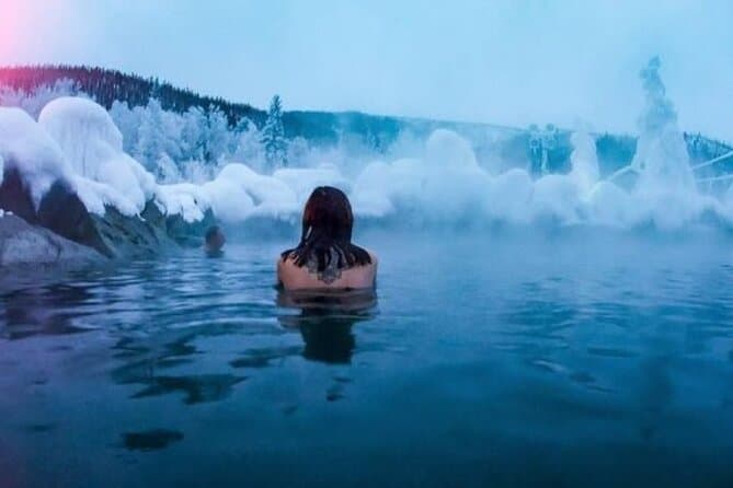 Northern lights and Chena Hot Springs
