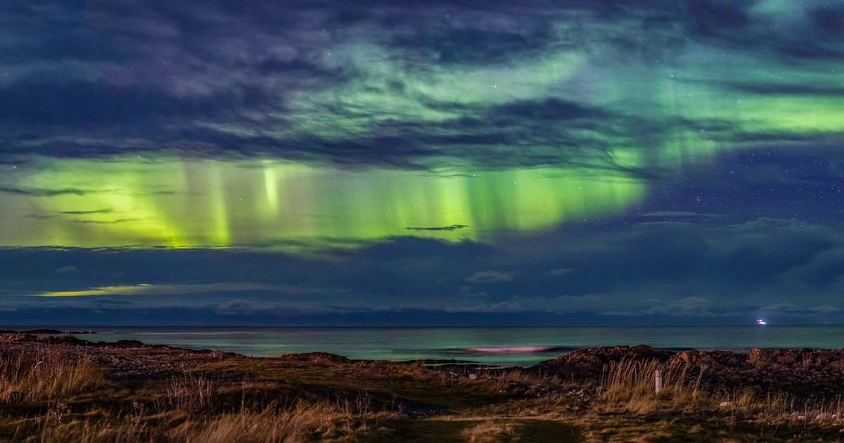 Guided northern lights tour by van