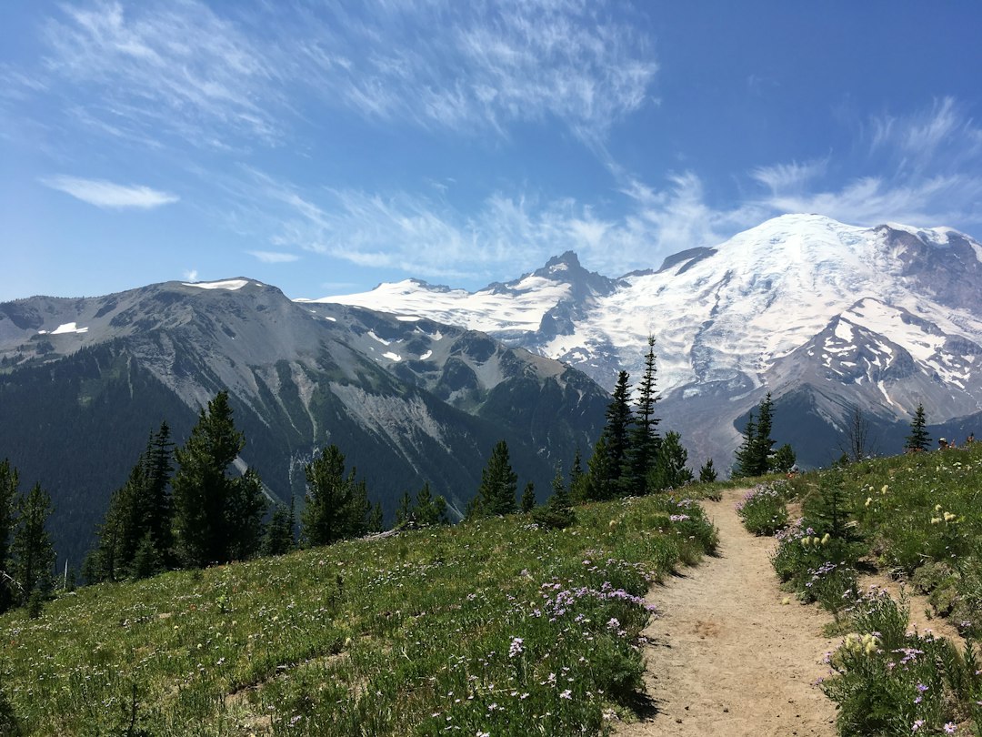 Ashford WA: Mount Rainier's Year-Round Gateway Town