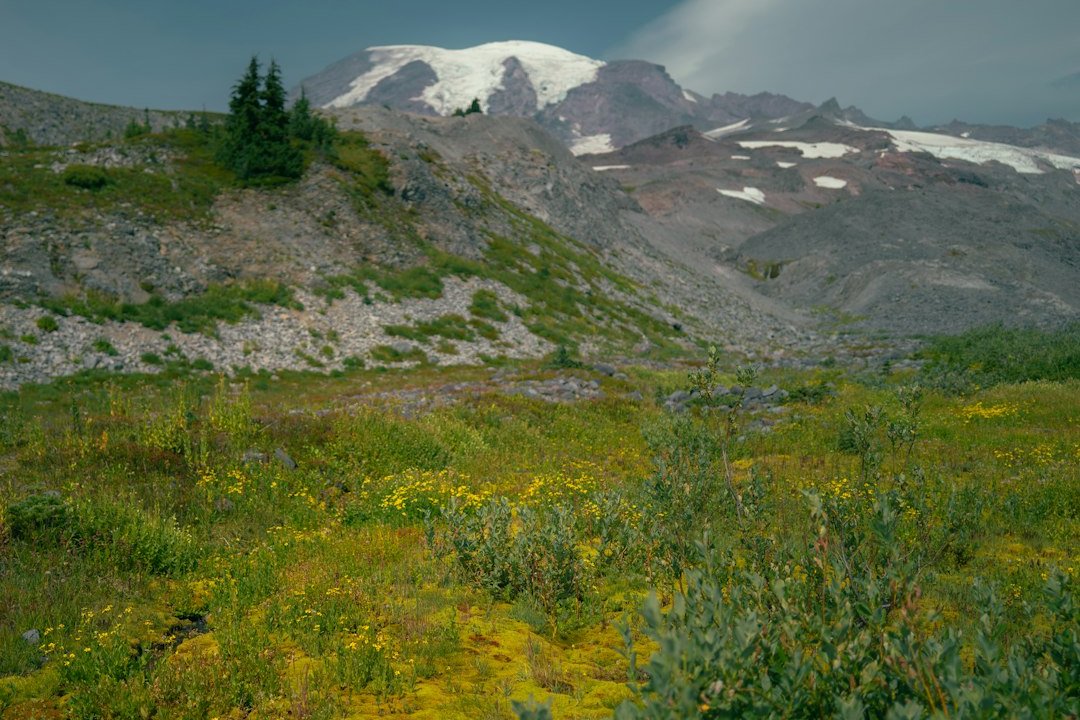 Comet Falls Trail at Mount Rainier: Height, Hike and Views