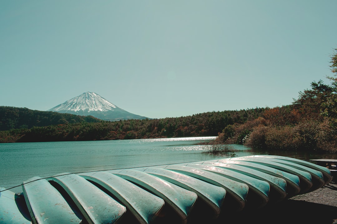 Lake Saiko: The Quiet Fuji Five Lake of Caves, Forest, and Fish