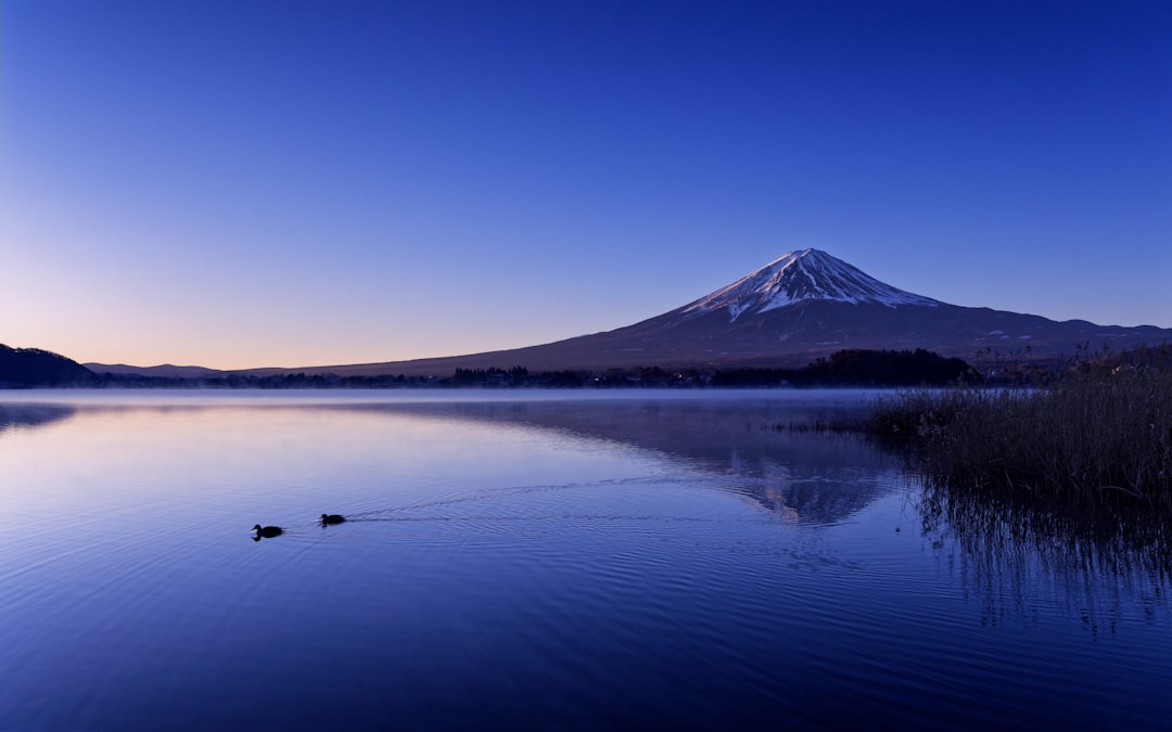 Oishi Park, Mt. Fuji: Flower Calendar and When the Mountain Is Out
