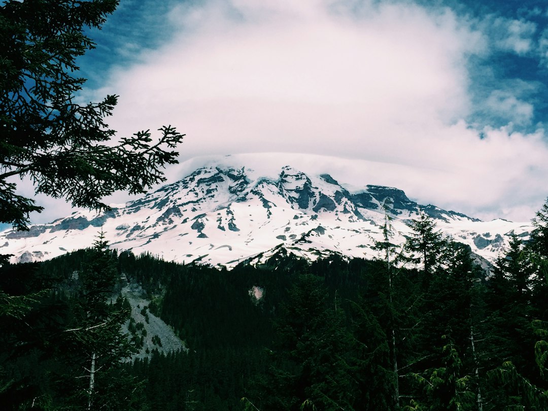 Packwood WA: Mount Rainier's Quiet Gateway Town Guide