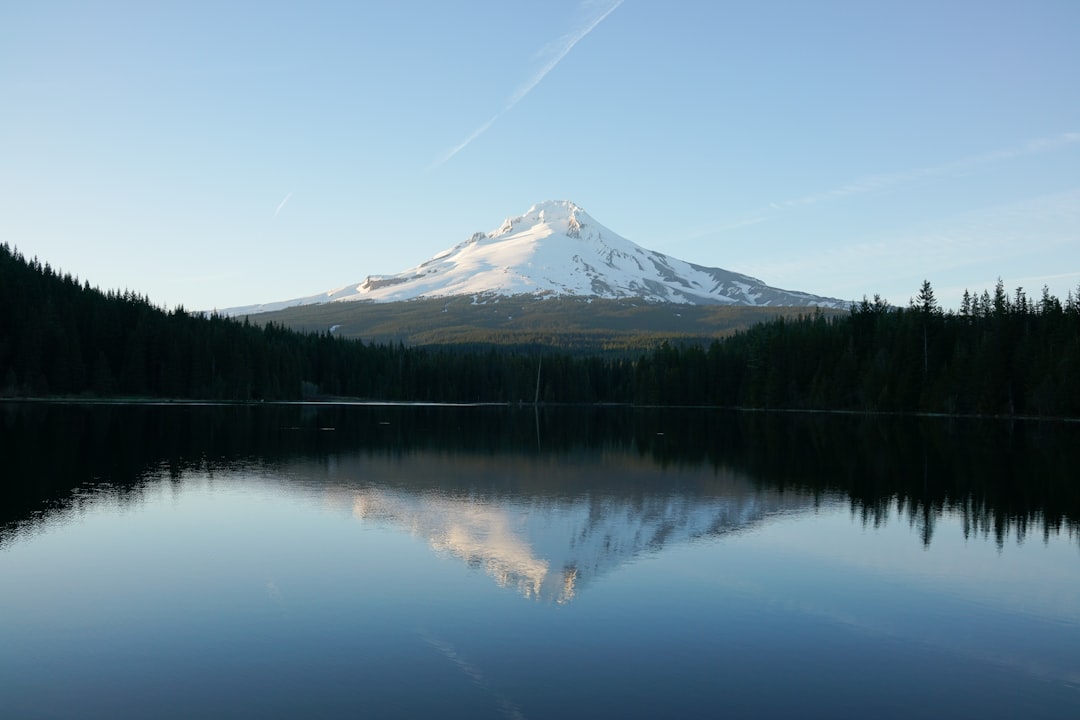 Reflection Lake Mt. Rainier: The Perfect Mirror Shot Guide