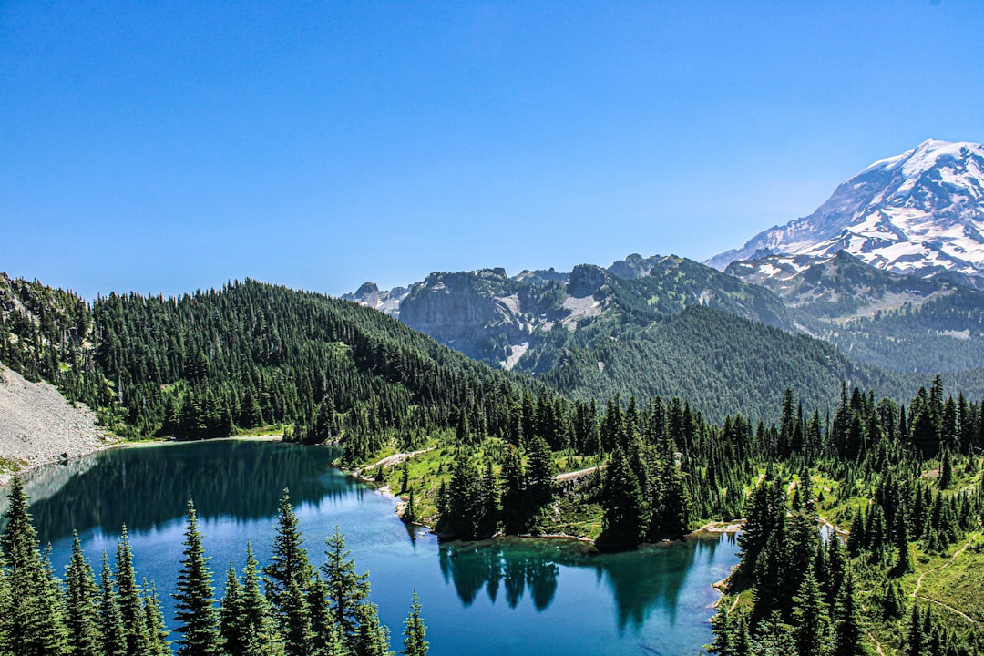 Tipsoo Lake Mt. Rainier: Reflection Guide, Trail & Best Time